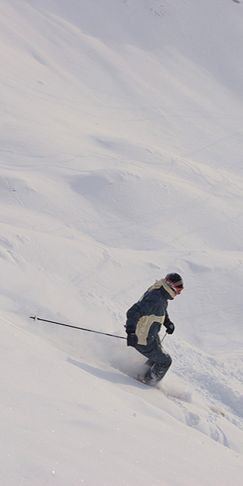 Skier